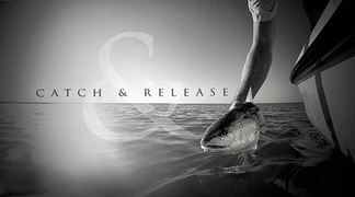Nice Carp :)